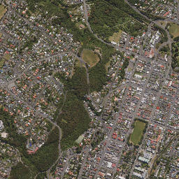 ArcGIS Web Application